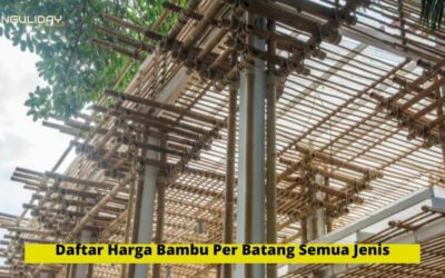 50+ Daftar Harga Bambu Per Batang Semua Jenis