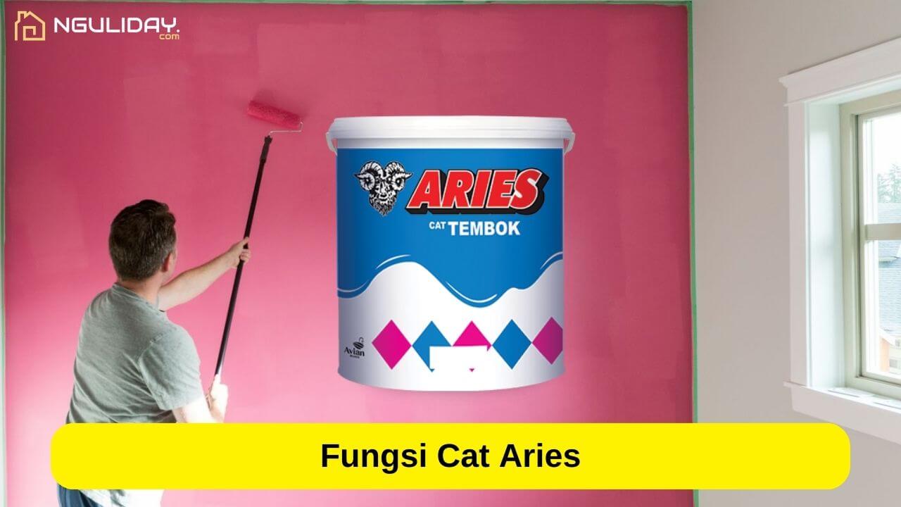 Fungsi Cat Aries