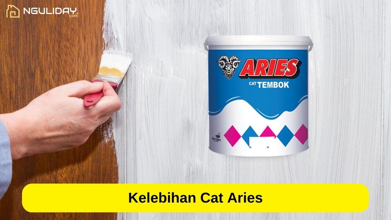 Kelebihan Cat Aries