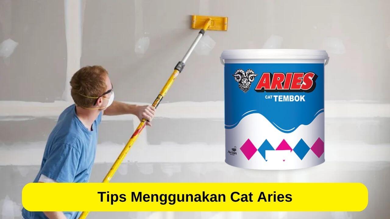 Tips Menggunakan Cat Aries